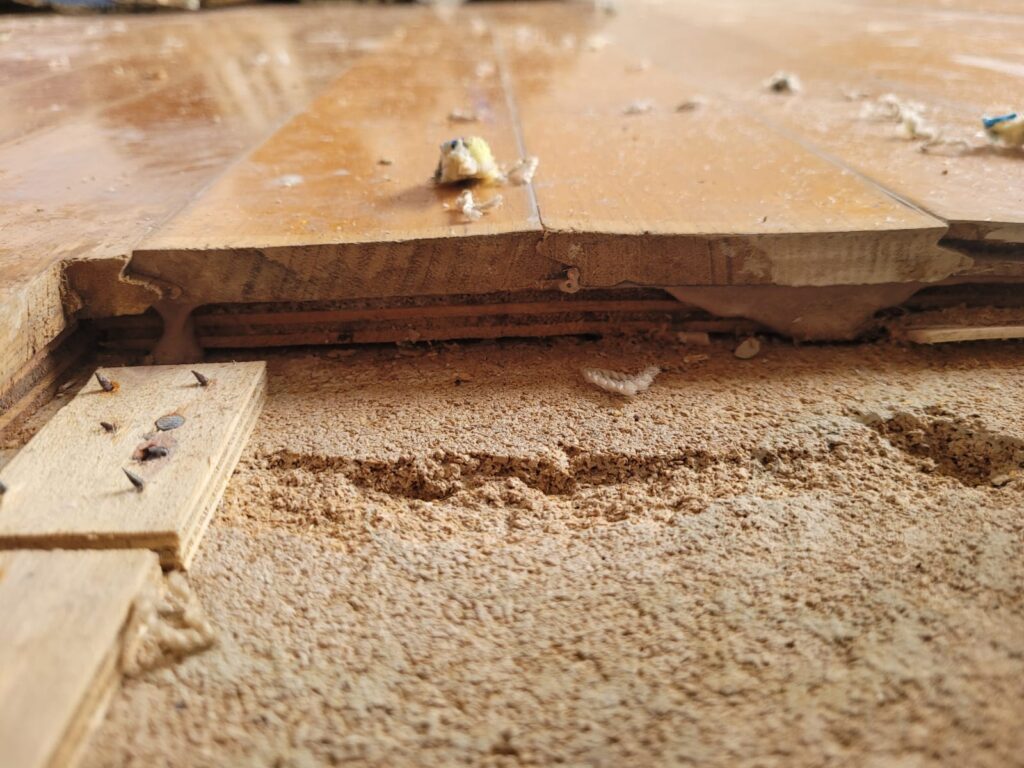 Magnesite Flooring Removal 9 Magnesite Floor Removal - Flooring And Grinding